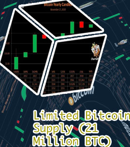 Bitcoin 1 year chart us