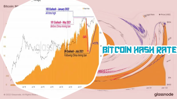 Bitcoin hash rate
