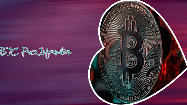 Bitcoin price in india