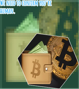 Bitcoin work with exchanges wallets on