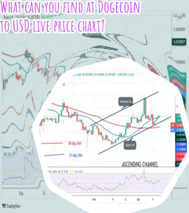 Price for dogecoin United States