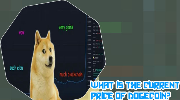What platforms trade dogecoin